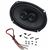 6 X 9 Dual Voice Coil Speaker